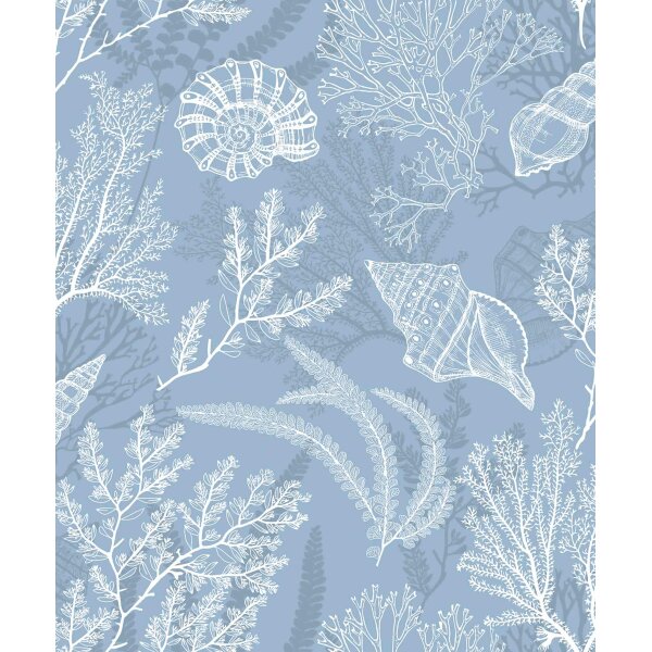 Vliestapete in weiß, blau Muscheln Unterwasser Grafisch Natur (81689)