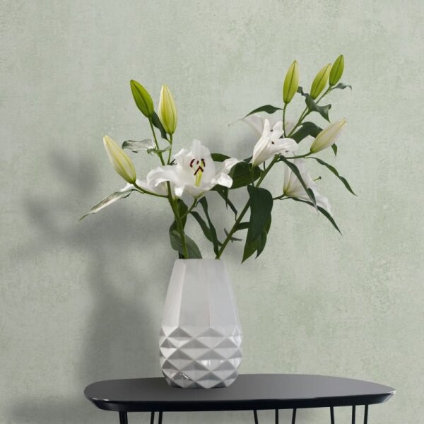 Vliestapete in Grün Betonoptik Used-Look Uni für Wohnzimmer Schlafzimmer Küche (82468)