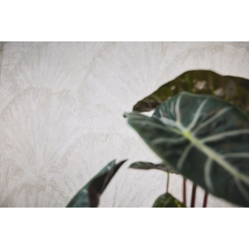 Struktur-Tapete mit 3D Fächermuster Weiß Hellgrau Vliestapete (781983)