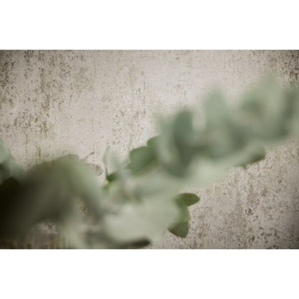 Vintage Tapete in Betonoptik Grau Beige Putzstruktur Vliestapete (786293)