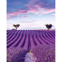 Digitaldruck Landschaft, Felder Grafisch Natur matt in...