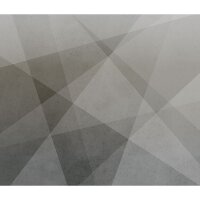 Digitaldruck-Tapete Grau, Silber Rasch (521955)