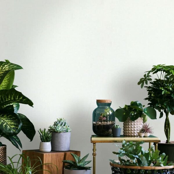 Vliestapete Strukturiert Uni Modern in Weiß für Wohnzimmer, Schlafzimmer, Küche (35653)