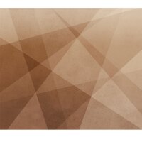 Digitaldruck-Tapete Rot, Braun Rasch (521931)