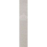 Vliestapete Krone, Betonoptik Metalloptik Modern...