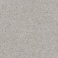 Tapete Grau, Silber Rasch Vliestapete (520866)