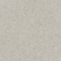 Tapete Grau, Silber Rasch Vliestapete (520859)