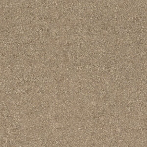 Tapete Braun Rasch Vliestapete (520286)