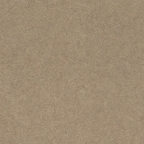 Tapete Braun Rasch Vliestapete (520286)