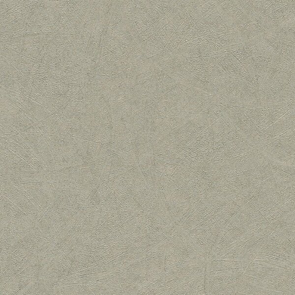 Tapete Grau, Silber Rasch Vliestapete (520279)