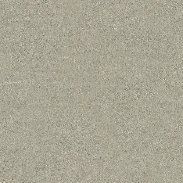 Tapete Grau, Silber Rasch Vliestapete (520279)