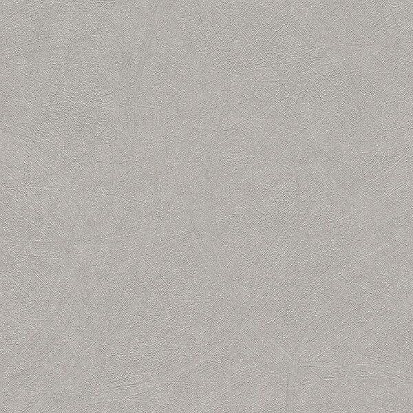 Tapete Grau, Silber Rasch Vliestapete (520255)