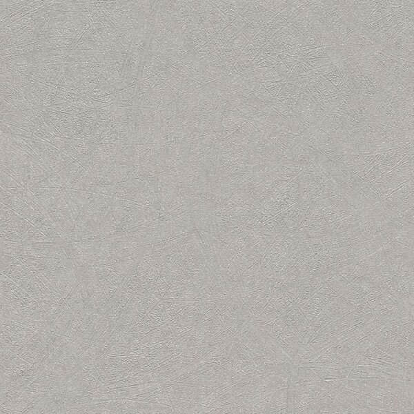 Tapete Grau, Silber Rasch Vliestapete (520255)