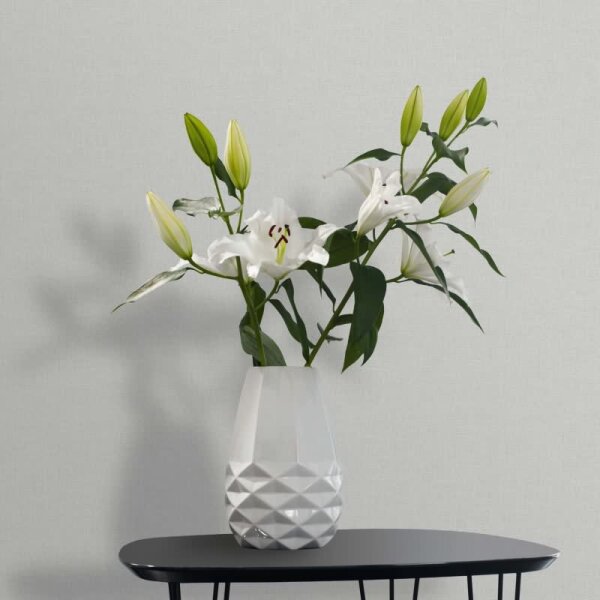 Vliestapete Struktur Uni Modern in Grün für Wohnzimmer, Schlafzimmer, Lounge (47605)