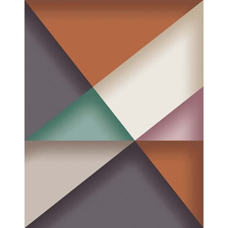 Digitaldruck 3D-Optik Grafisch Modern in Anthrazit für Wohnzimmer, Schlafzimmer (34309)