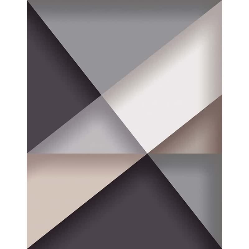 Digitaldruck 3D-Optik Grafisch Modern in Anthrazit für Wohnzimmer, Schlafzimmer (34310)