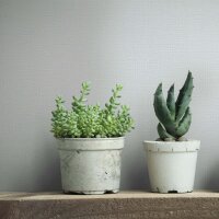 Vliestapete Texturiert Uni Modern in Grau f&uuml;r...