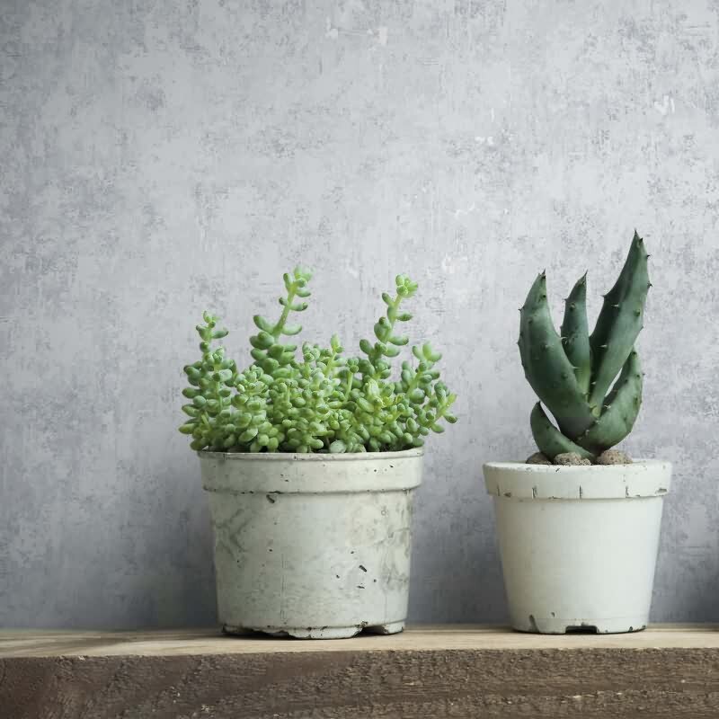 Vliestapete Betonoptik Struktur Modern in Grau für Wohnzimmer, Schlafzimmer (34341)