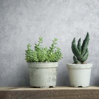 Vliestapete Betonoptik Struktur Modern in Grau f&uuml;r...