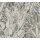 Dschungeltapete Braun Grau Beige - Exotische Muster Tapete floral - Vliestapete strukturiert (396533)