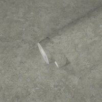 Tapete Hellgrau Gr&uuml;n Beton Optik Used Look -...