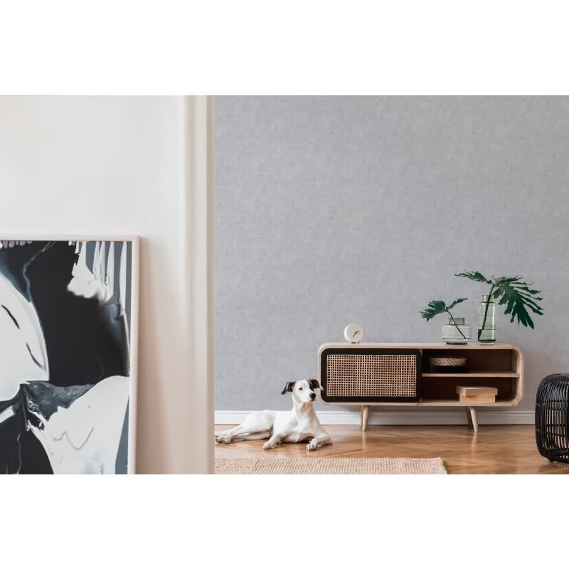 Tapete Lichtgrau Betonoptik Industrial - Geometrisches Muster dezent - Vlies Tapete modern (396566)