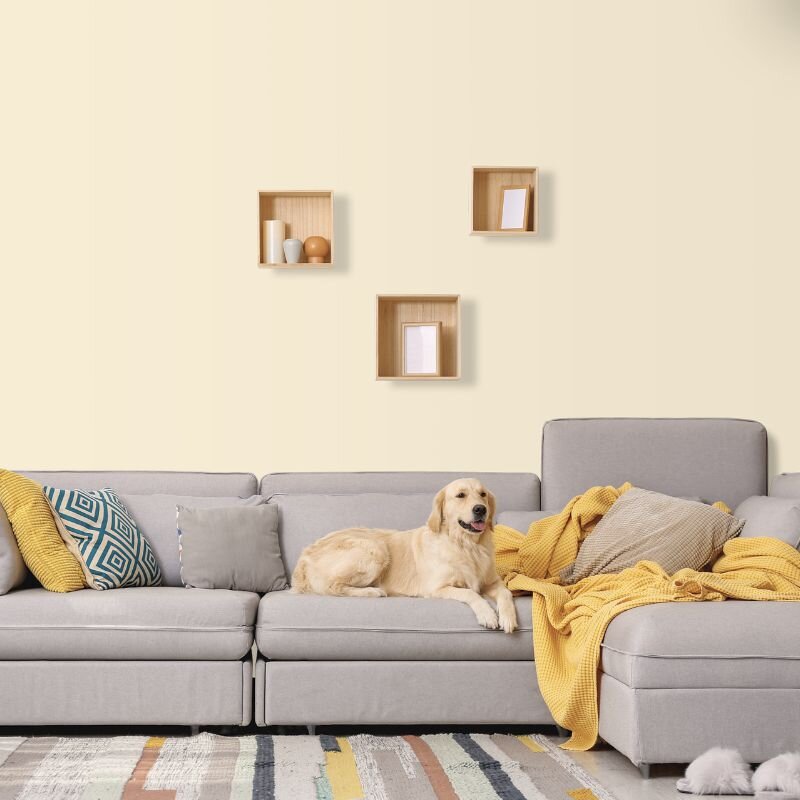 Wandfarbe Creme Weiß-Gelb Tanami 2A Wallcover Colors S 0505-Y10R