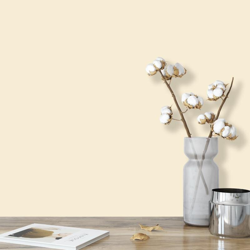 Wandfarbe Creme Weiß-Gelb Tanami 2A Wallcover Colors S 0505-Y10R