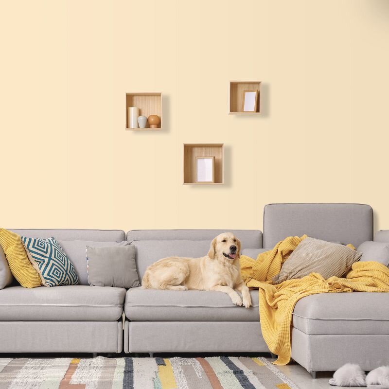 Wandfarbe Sand Beige Creme Mojave 3A Wallcover Colors S 0507-Y40R