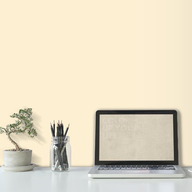 Wandfarbe Weiß-Gelb Blassgelb Mojave 2A Wallcover Colors S 0510-Y