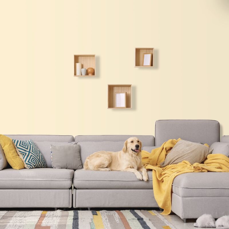 Wandfarbe Weiß-Gelb Blassgelb Mojave 2A Wallcover Colors S 0510-Y