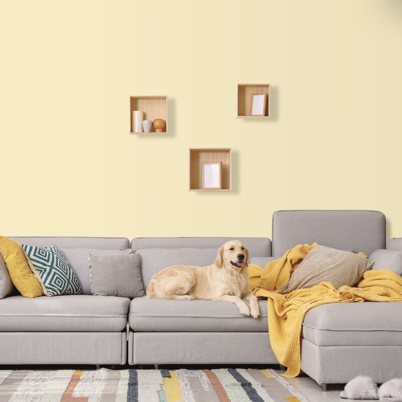 Wandfarbe Blassgelb Gelb Light Orange 2C Wallcover Colors S 0510-Y20R