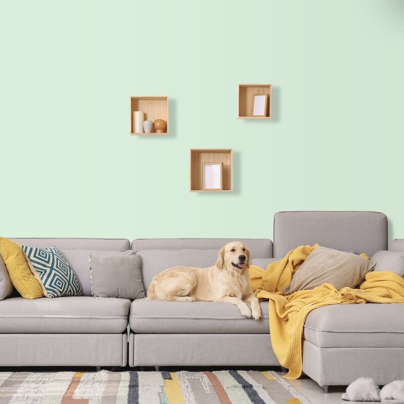 Wandfarbe Aquamarin-Grün Pastell Connemara 1B Wallcover Colors S 0515-G20Y