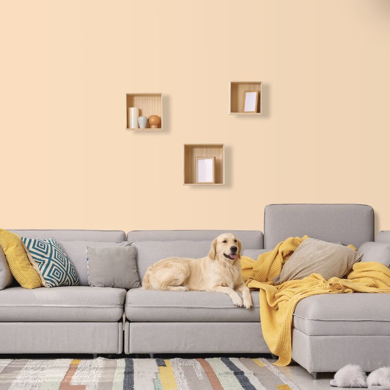 Wandfarbe Creme Beige Bisque Gobi 4A Wallcover Colors S 0515-Y50R