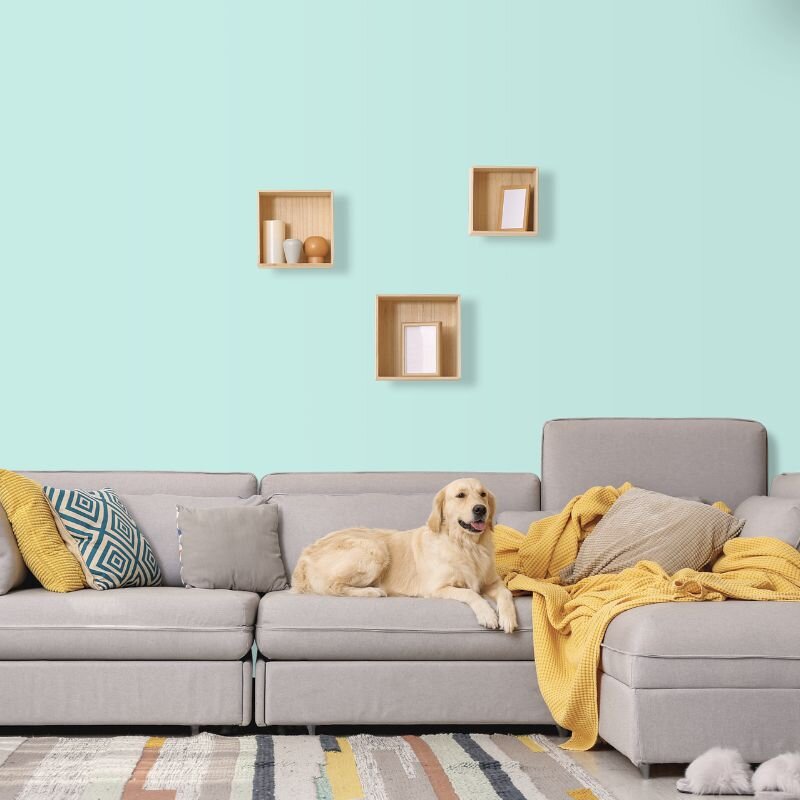 Wandfarbe Pastell-Türkis Guadeloupe 3A Wallcover Colors S 0520-B30G