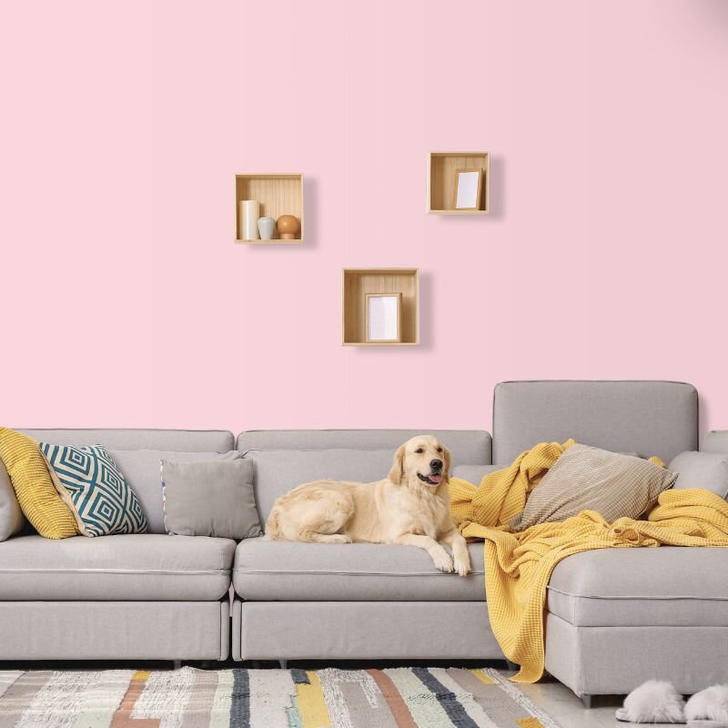 Wandfarbe Rosa Zartrosa Kensington 1B Wallcover Colors S 0520-R20B