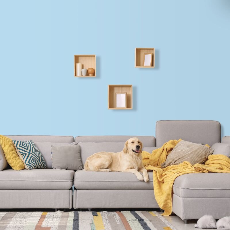 Wandfarbe Hellblau Pastellblau Karibik 2B Wallcover Colors S 0520-R90B