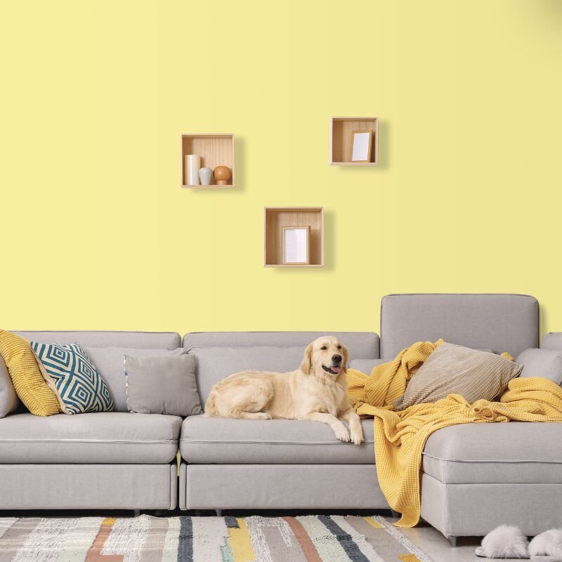 Wandfarbe Hellgelb Tanami 3B Wallcover Colors S 0530-G90Y