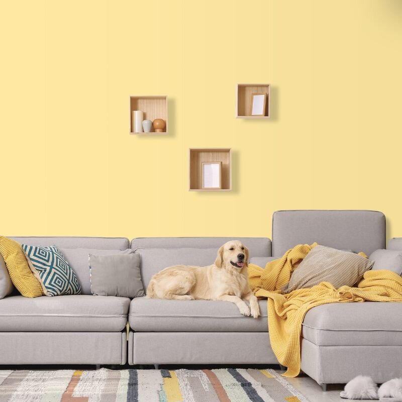 Wandfarbe Blassgelb Vanille Mojave 2B Wallcover Colors S 0530-Y