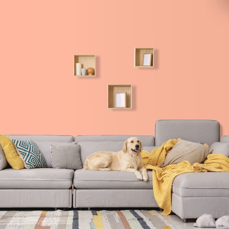 Wandfarbe Pfirsich Rosa Palermo 3B Wallcover Colors S 0530-Y60R