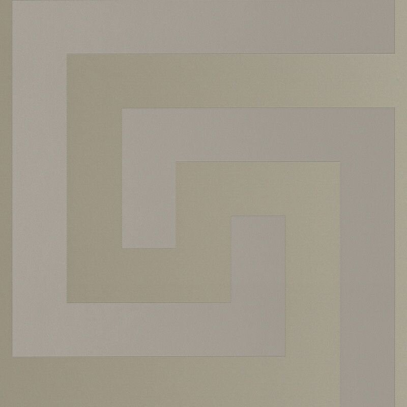 Tapete Grau, Silber VERSACE Satintapete (386092)