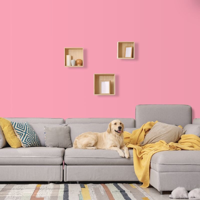 Wandfarbe Rosa Pink Notting Hill 2B Wallcover Colors S 0540-R10B