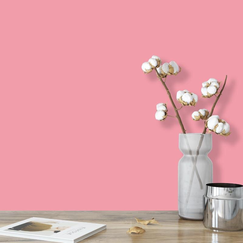 Wandfarbe Rosa Zartrosa Kensington 1C Wallcover Colors S 0540-R20B