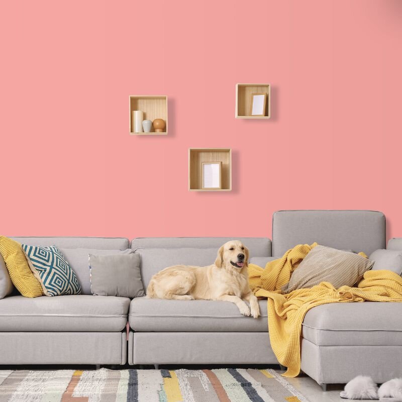 Wandfarbe Rosa Firenze 3B Wallcover Colors S 0540-Y90R