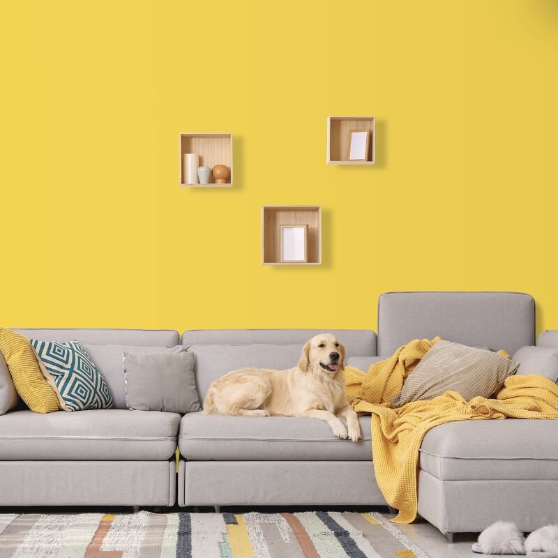 Wandfarbe Zitronengelb Tanami 3D Wallcover Colors S 0560-Y