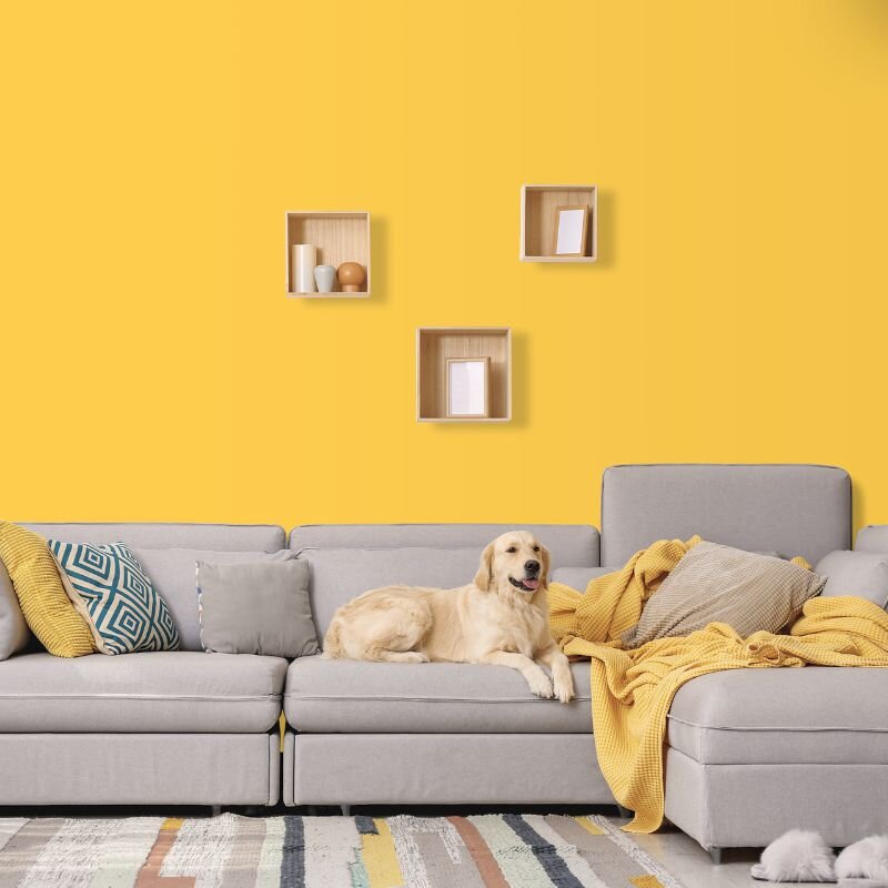 Wandfarbe Gelb-Orange Mojave 2E Wallcover Colors S 0560-Y10R