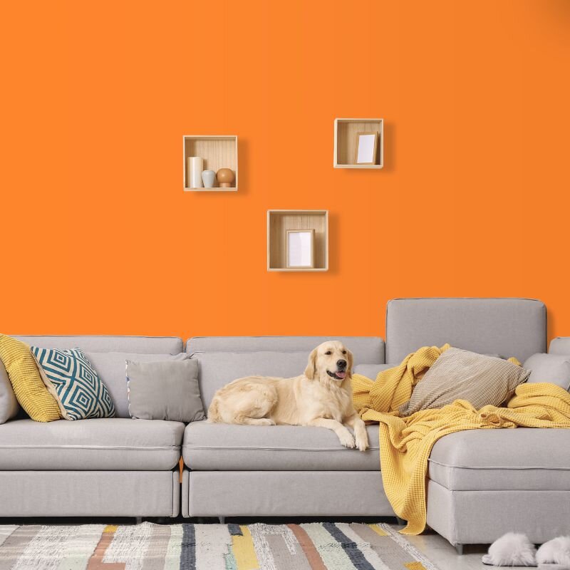 Wandfarbe Orange Bologna 1F Wallcover Colors S 0570-Y50R