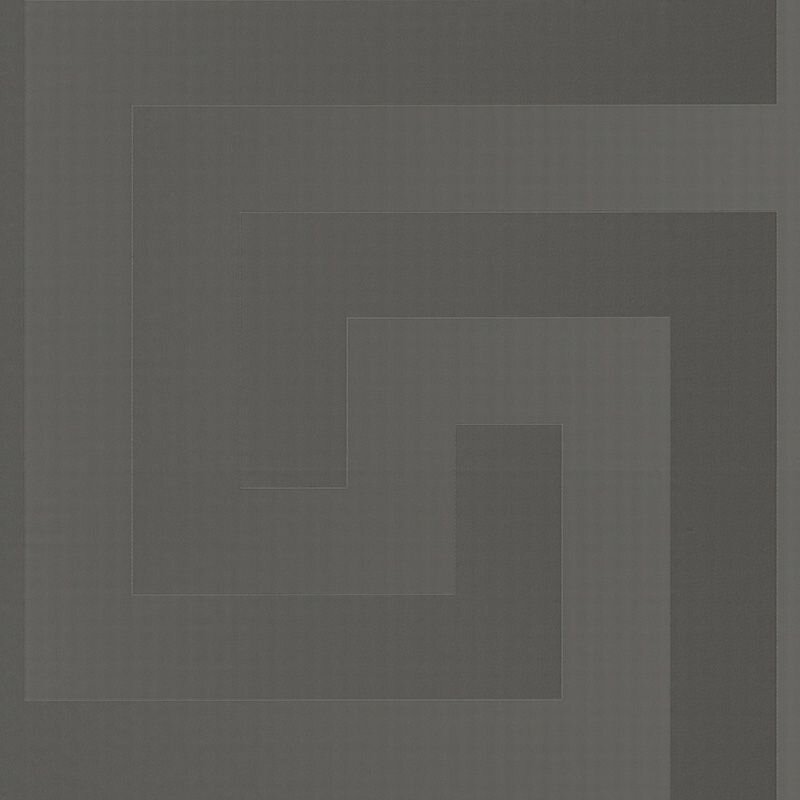 Tapete Grau, Silber VERSACE Satintapete (386091)