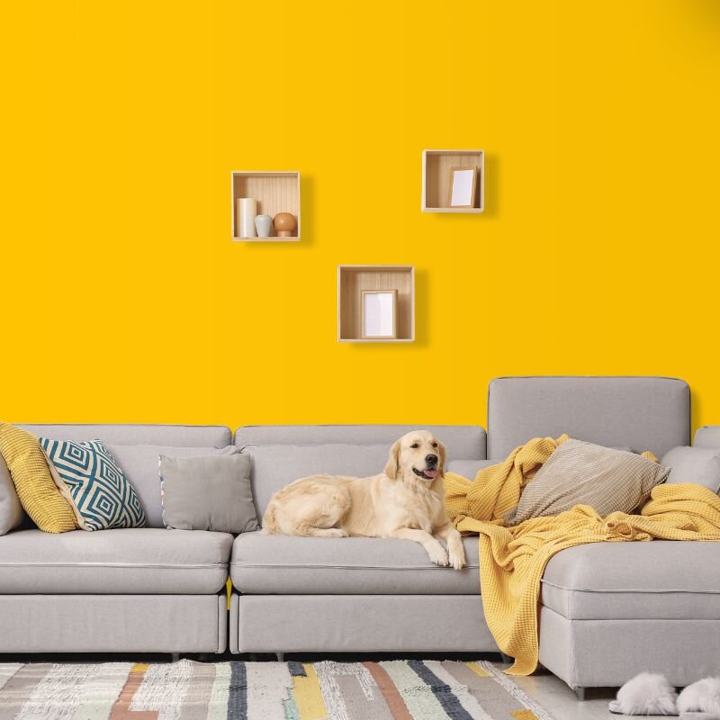 Wandfarbe Gelb-Orange Mojave 2F Wallcover Colors S 0580-Y10R