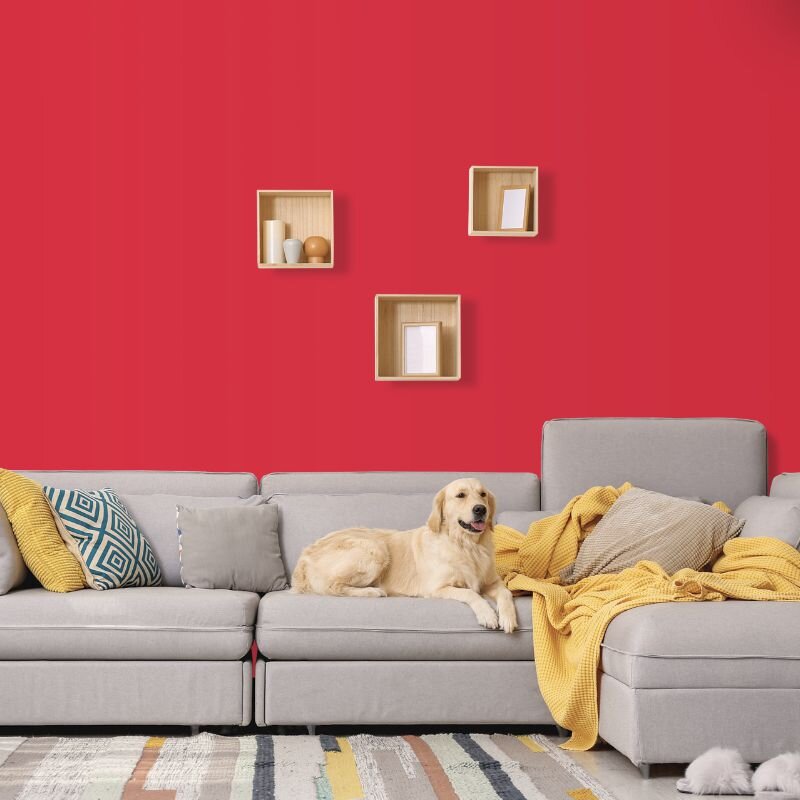 Wandfarbe Rot Napoli 2E Wallcover Colors S 0580-Y90R